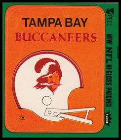 80FTAS Tampa Bay Buccaneers Helmet.jpg